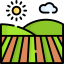 campo-1.png