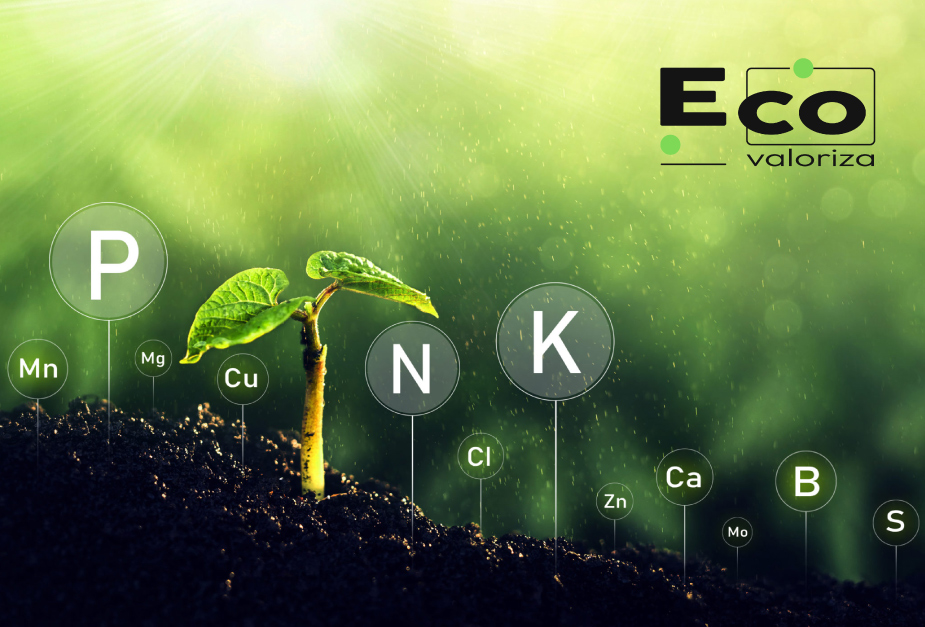 EcoValoriza-Innovagro-1.jpg