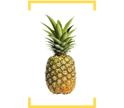 tropicales-innovagro.jpg